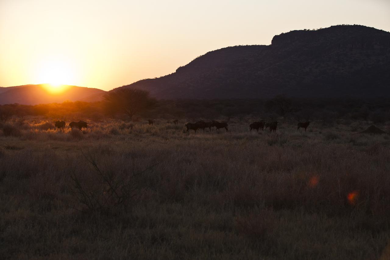 Gabus Game Ranch Villa Otavi Exterior photo