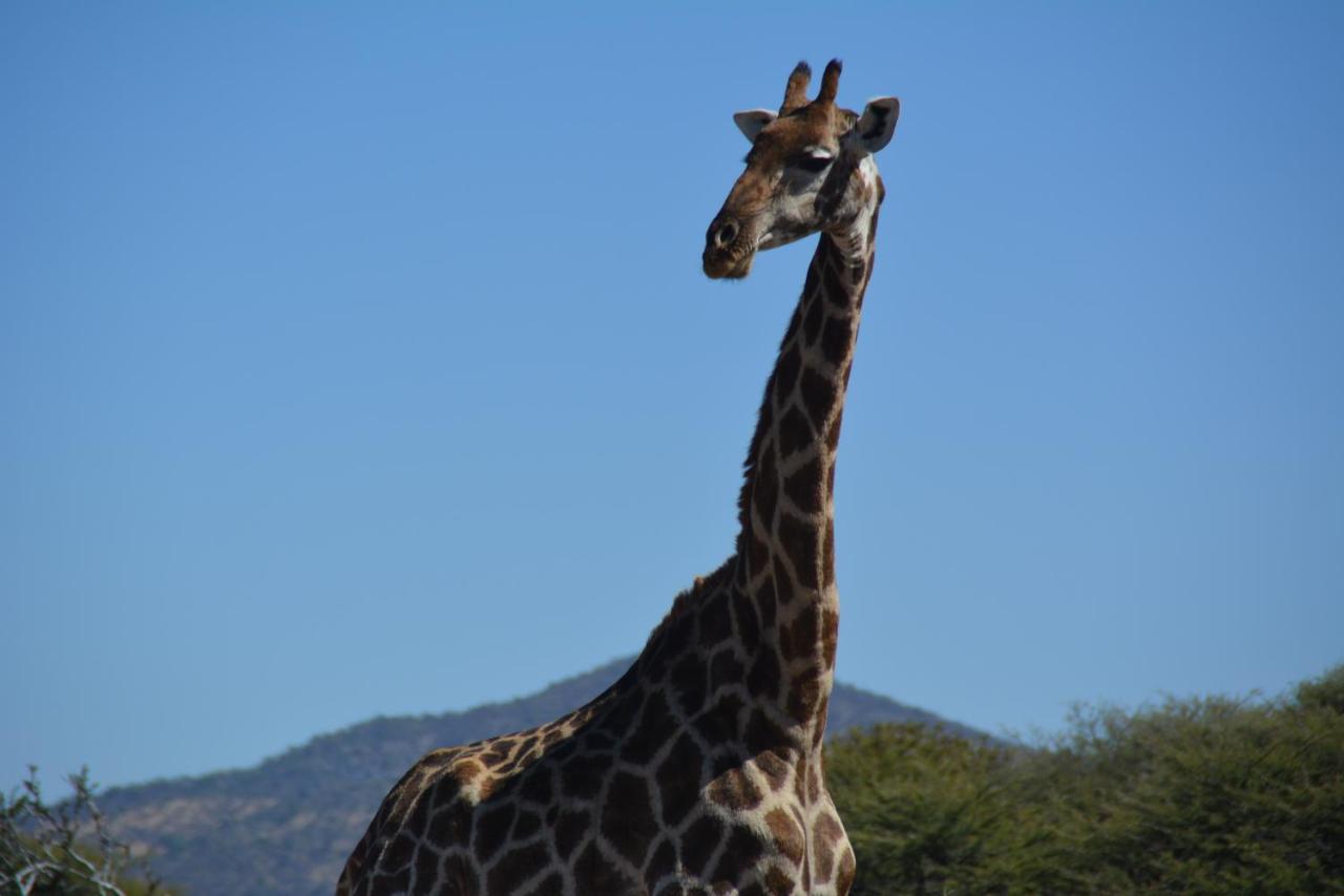 Gabus Game Ranch Villa Otavi Exterior photo