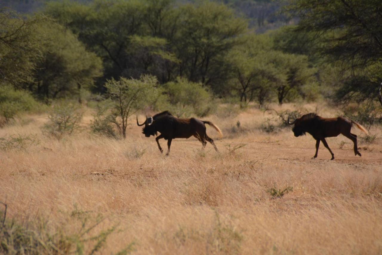 Gabus Game Ranch Villa Otavi Exterior photo