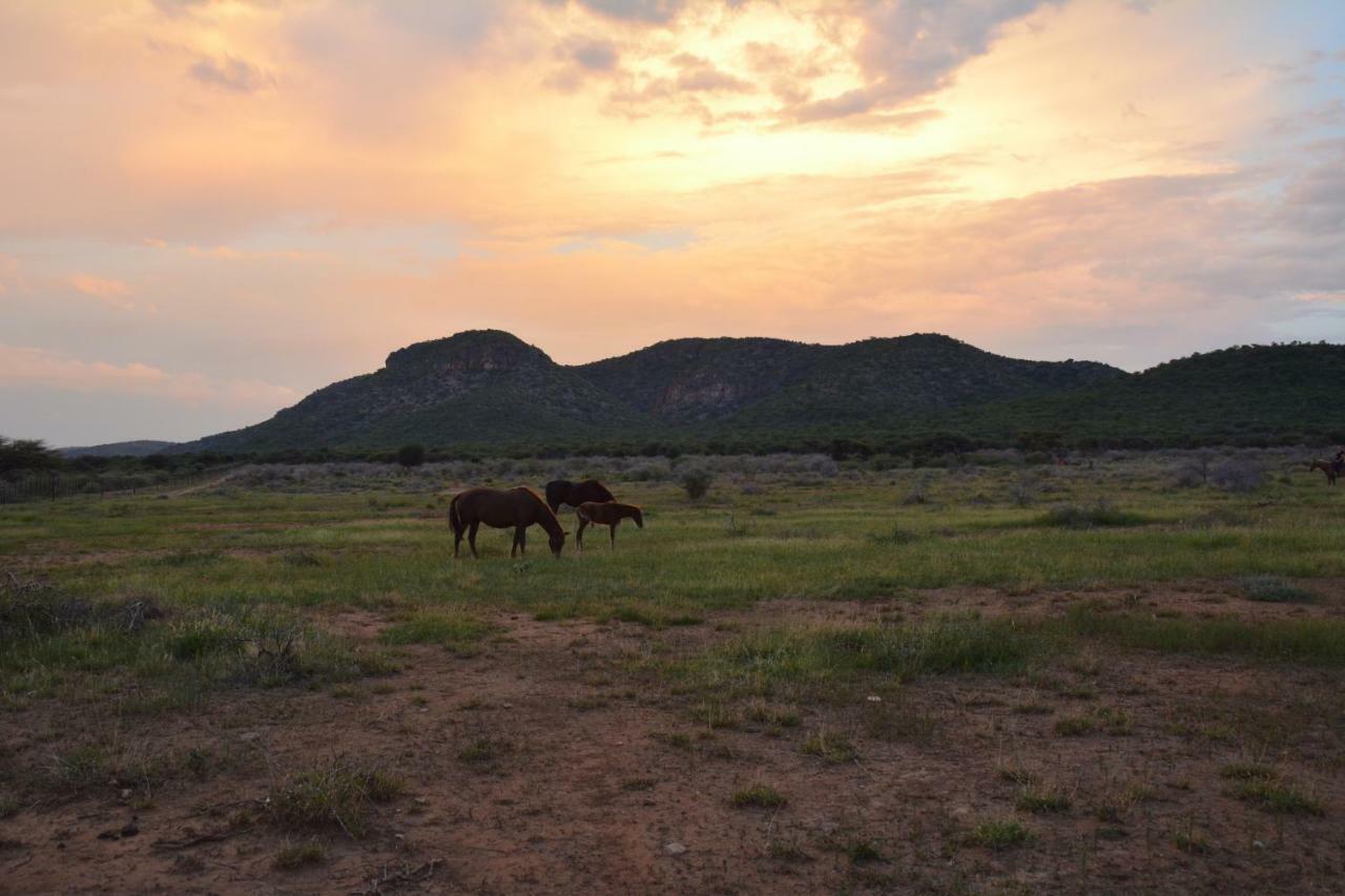 Gabus Game Ranch Villa Otavi Exterior photo